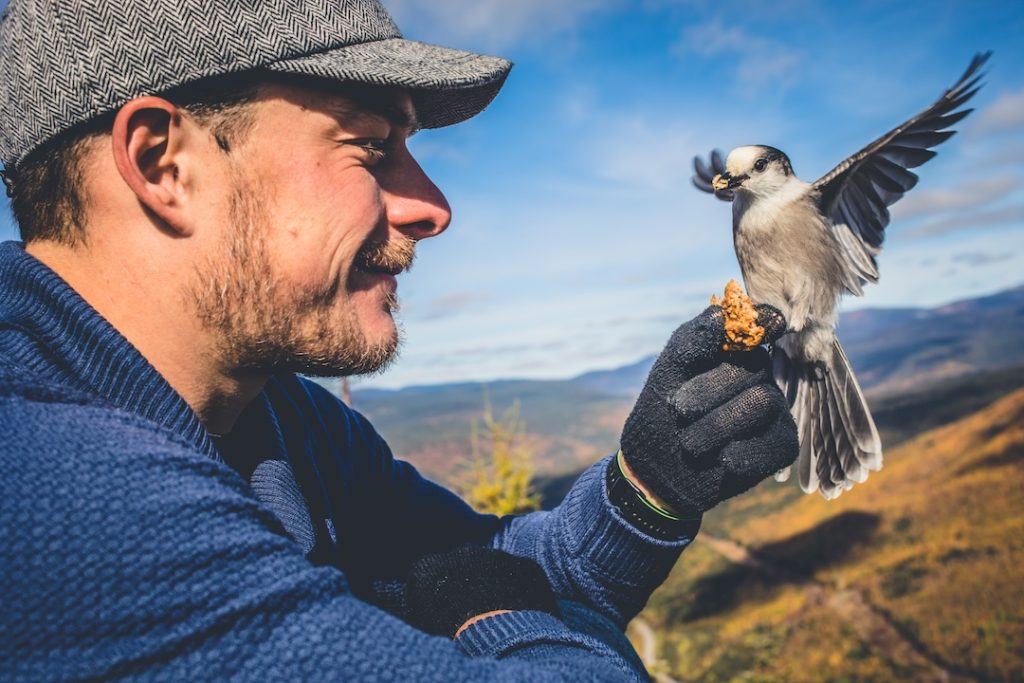 A man smiles while feeding a small bird from his hand. The picturesque mountain landscape in the background showcases vibrant autumn colors under a clear blue sky.